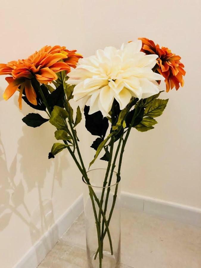 Sogni D'Oro Apartman Bari Kültér fotó
